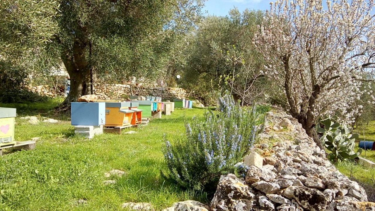 Vivere Ostuni Kültér fotó